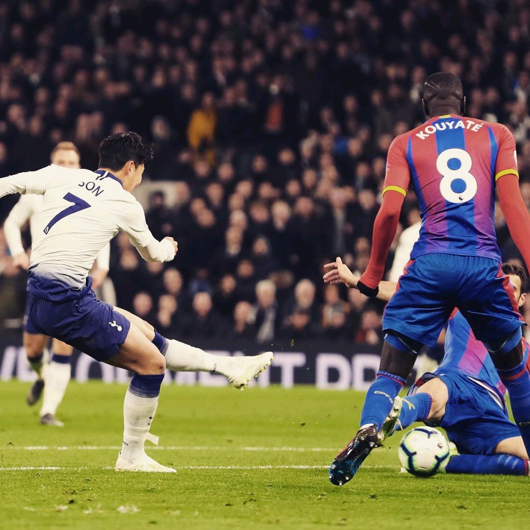 趣与特长 趣与特长